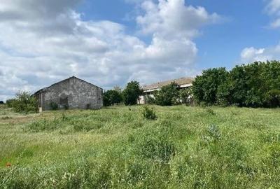 Spațiu industrial, de 970 mp, în Hârșova - 5