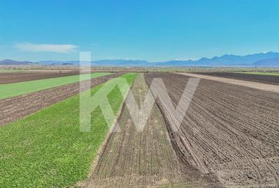 Vanzare teren extravilan agricol Halchiu 15000mp - 3