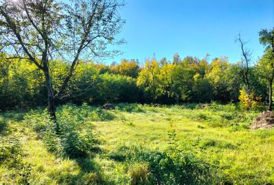 Cămin sau refugiu ? Alegerea îți aparține Cămin sau refugiu ? Alegerea îți aparține - 5