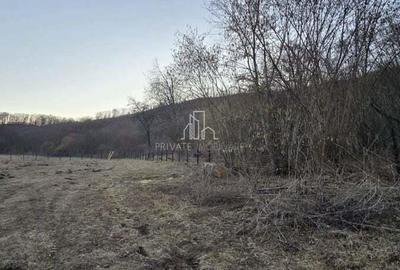 Teren de 20 mp, în Daneș - 3