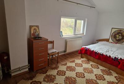 Vila P+E si teren intravilan 1,5Ha,cu zavoi+iaz,lac peste si livada-investitie - 12
