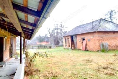 Casă cu Teren 10000 Mp în Laz - 4