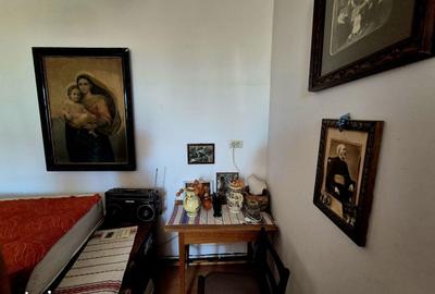 Casă cu 3 camere cu Teren 2753 Mp în Șercaia - 15