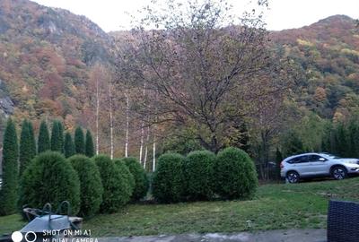 Vilă de vânzare în munții Retezat - 14