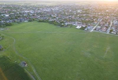 Teren intravilan 5,44 ha, Vladimirescu Teren intravilan 5,44 ha, Vladimirescu - 2