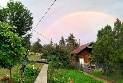 Casă cu 2 camere în Central - 1
