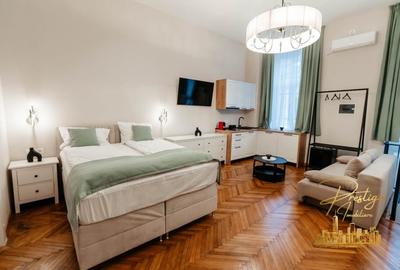 Apartament cu o camera de inchiriat 40mp in zona ultracentrala- Oradea - 3