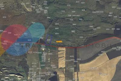 Teren Extravilan 39.867 Mp, zona Campenesti - 2