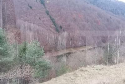 Teren 14 ha compact langa Lacul Tau Bistra - 3