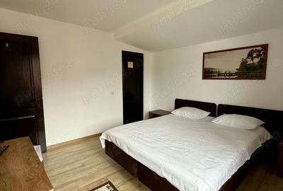 Casă cu 4 camere cu Teren 18000 Mp în Colibița - 3