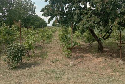 Teren în Central - 3
