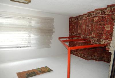 Calugareni-Branistari-casa 4 camere, teren 1965 mp, curent, put, libera,69900 € - 23