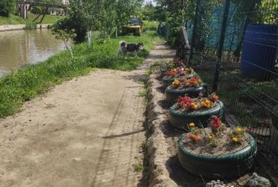 Apartament cu 3 camere semidecomandat în Traian - 2