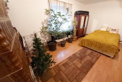 Casa de vanzare cu teren generos - 2