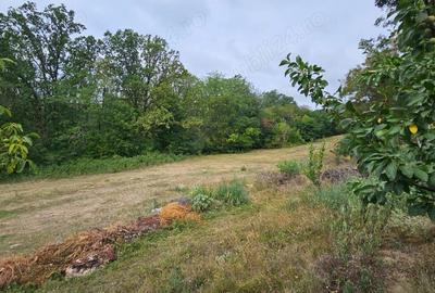 Casă cu 3 camere cu Teren 1500 Mp în Drislea - 6