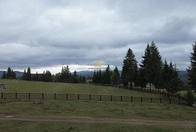Teren de 16813 mp, în Fundu Moldovei - 1