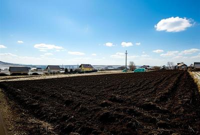 Teren Construcții intravilan de 991 mp, în Moara Carp - 2