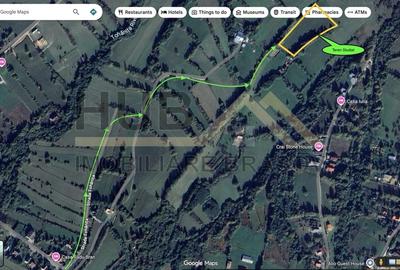 Teren Zarnesti | Tohanita | Intravilan | PUZ aprobat | Fara Utilitati | 9.053mp - 10