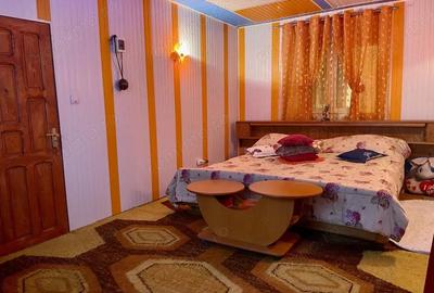 Casa 445 mp Dochia spa?ii foarte mari, 5000 mp curte, ideal familie sau afacere - 16