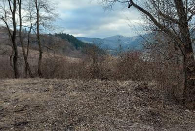 Teren intravilan la drumul na?ional comuna Hangu, Neamt, 5000mp - 5