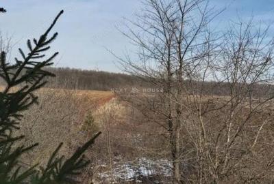 Teren de 2350 mp, în Izvorani - 7