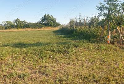 Teren de 720 mp, în Bodrogu Nou - 1