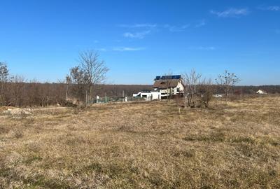 Gradistea- Ilfov, str. Nuferilor - 1000 mp - 2