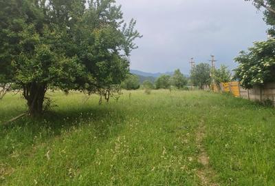 Teren Construcții intravilan de 10500 mp, în Exterior Nord - 4