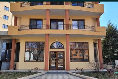 Spațiu comercial, de 116 mp, în Nicolina - 1