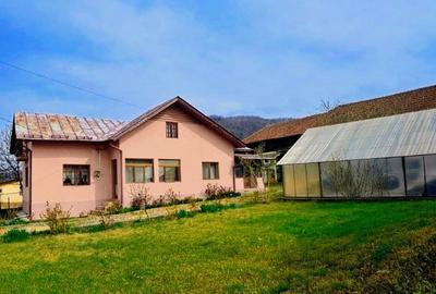 Proprietate 1780m2 cu 2 case - 12