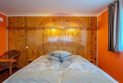 VILA SCANDINAVIA / Pensiune / Moieciu de Sus - 33