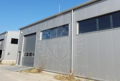 Spațiu industrial, în Rudului - 16