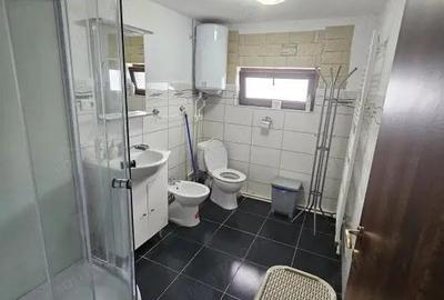 Vanzare casa situata in comuna Balane?ti, sat Voite?tii din Vale - 4