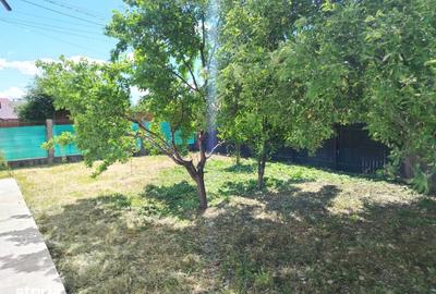 Casă cu 3 camere cu Teren 1000 Mp în Central - 6