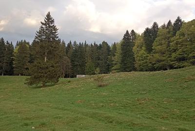 Teren Construcții intravilan de 900 mp, în Predeal - 11