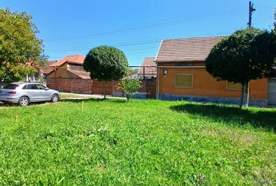 Casă cu 2 corpuri, Calea Severinului, Caransebeș - 2