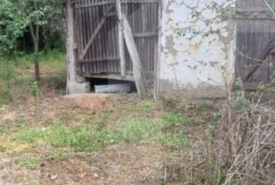 Blitz va ofera spre vanzare o casa cu teren generos in Cer - 6