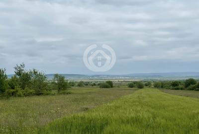 Teren agricol extravilan de 650 mp, în Poplaca - 1