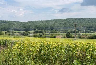 Casa batraneasca cu 6000 mp teren Schitul Duca - 1