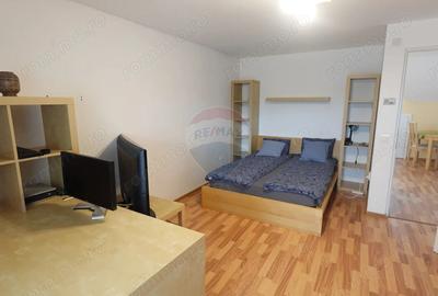 Casa cu 5 camere, de inchiriat, in Baia Sprie - 13