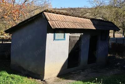 Casă cu 2 camere în Oroiu - 5