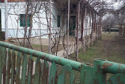 Casă cu 3 camere în Corbu - 4