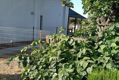 Casa noua cu plata in rate in Buturugeni - 6