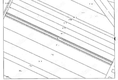 Teren extravilan, Comuna Valcele, Jud calarasi - 6