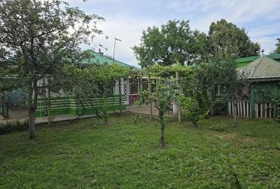 Casă cu Teren 1000 Mp în Central
