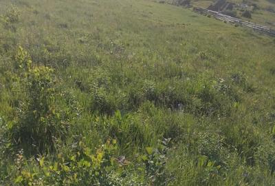 Spațiu comercial, în Vale - 6