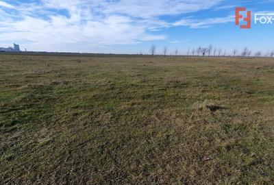 Teren intravilan 665 mp cu Puz aprobat - Padureni - 5