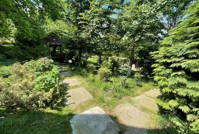 Proprietate deosebita cu gradina superba, luxurianta, 3000 mp, Breaza - 4