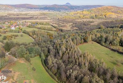 Spațiu comercial, în Predeluț - 7