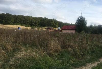 Teren de 650 mp, în Central - 1